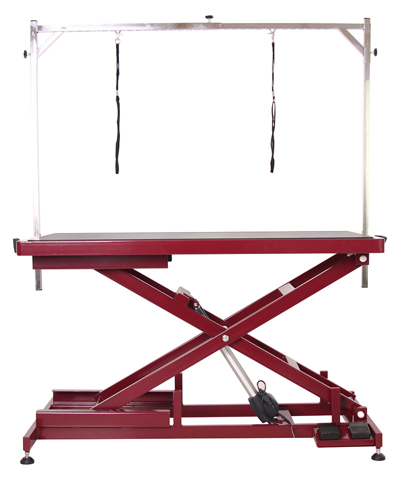 TABLE ÉLECTRIQUE DE TOILETTAGE AVEC BARRE TRANSVERSALE POUR LOUPE - ROUGE, ELECTRIC GROOMING TABLE