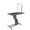 TABLE HYDRAULIQUE DE TOILETTAGE AVEC POTEAU POUR LOUPE, HYDRAULIC GROOMING TABLE WITH POST FOR LOOP